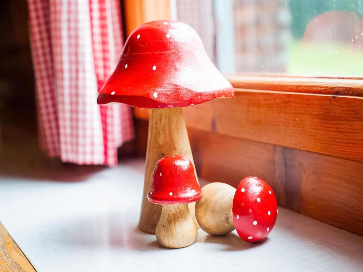 Vintage Holiday Home In Vorarlberg Near Ski Area Schwarzenberg im Bregenzerwald Eksteriør bilde